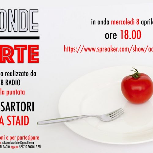 Zei Radio ad onde corte – Davide Sartori e Andrea Staid