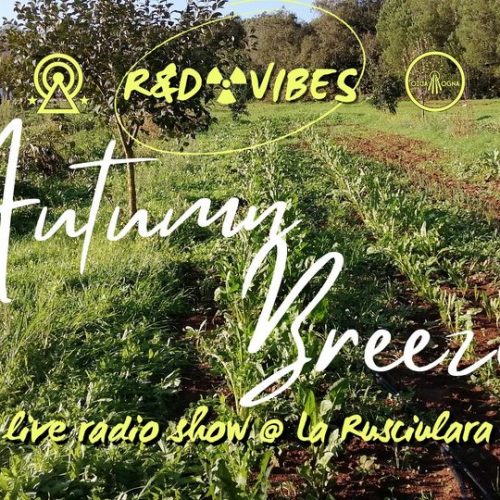 R&D Vibes 6.08 – Autumn Breeze