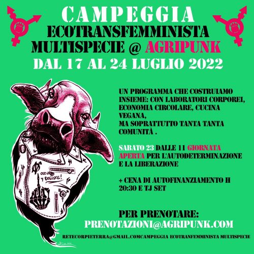 TRANSfemmINonda 3.37 – Campeggia is back again!