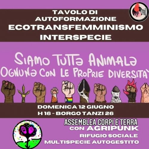 TRANSfemmINonda 3.36 – Ecotransfemminismo antispecista: un’autoformazione condivisa