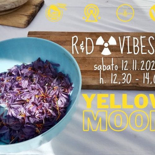 R&D Vibes 7.06 – Yellow Moon