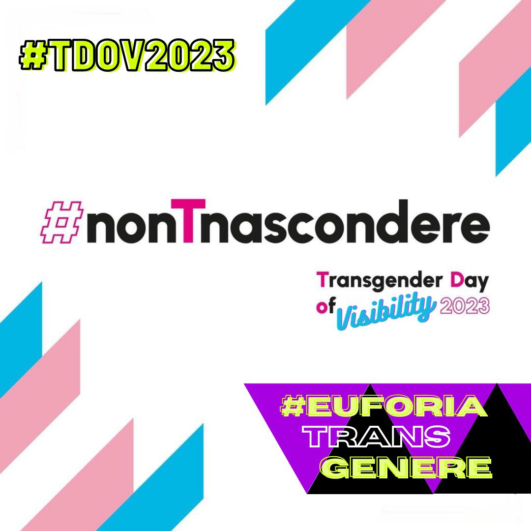QUEERzionario 3.26 - TDOV, la giornata della visibilità trans ...