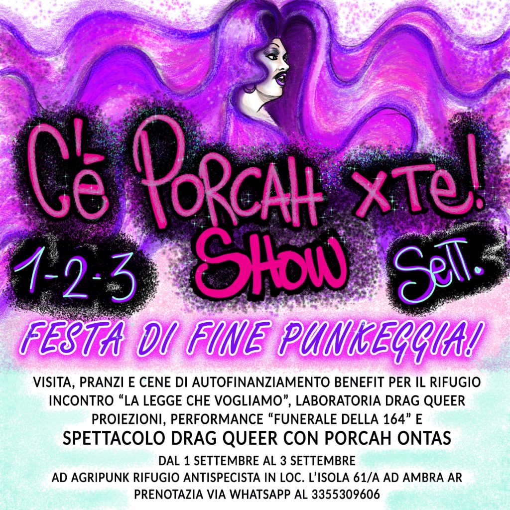 festa final